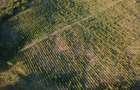 Vand teren, com. Bucov, sat Chitorani, jud. Prahova, 5.62 ha. - 4