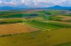 Oportunitate pentru fermieri: 10.800 mp teren arabil în Rotbav, Brașov - 8