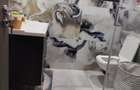 Casa zona Complex Comercial Traian Nord - 6