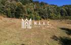 Teren Extravilan 20.000Mp I Stoenești -Vâlcea I Apă Curentă și Pădure - 11