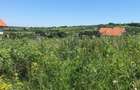 Teren intravilan de vanzare, zona de dealuri, Oradea, Bihor - 3
