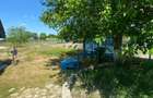 Casa de vacanta/ Pensiune, Caraorman, Jud. Tulcea - 7