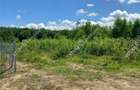 Teren intravilan 3900 mp Porumbacu de Sus, Sibiu - 8