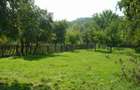 Teren in Agafton cu suprafata de 3800mp - 1