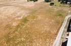 Teren industrial in Podari - 0% COMISION - 5
