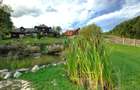 Raritate| Teren intravilan de vis de  6 ha de vanzare in Pestera Brasov - 2