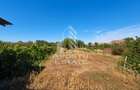 Doua case de vanzare cu 2533 mp teren, localitatea Pesac, Timis