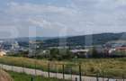 Investitie ! Teren intravilan,494 mp, front 14 m,cart Dâmbul Rotund-Lombului   ! - 8