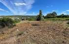Ocazie! Visan TEREN 1616mp intravilan lot pt constructie casa - 3