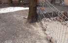 Casa cu centrala - 5