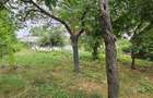 Casa  de vânzare cu teren 9200 mp, Pădureni-Șendriceni, Botoșani - 14