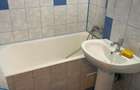 Vitan Dristor garsoniera cocheta 300 euro/luna - 8