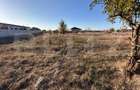 Teren de vanzare, zona Metro-Carcea, 992mp - 6