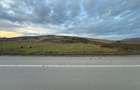 Teren Extravilan I 6000 Mp I Acces la drum | Cojocna - 5