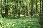 TUNARI, cu acces din Sos. de Centura, 187.000 mp teren - 5