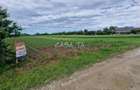 Teren Intravilan (7500 mp),situat in Balesti - Tamasesti - 4