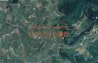 Teren de vanzare Marisel 1.500m²/19€ m² - 2