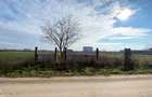 Afumati - Str. Iasomiei, 2409 MP, stradal, intravilan, deschidere 12 m - 3
