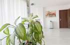 Inchiriere apartament 2 camere Baneasa Complex Rezidential - 17