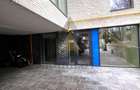 APARTAMENT 3 CAMERE TIP DUPLEX| AVIATORILOR - 50