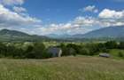 Teren inconjurat de natura de vanzare in Pestera - 2