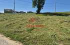 ●Teren intravilan in Breaza 4852mp 17e/mp● - 9