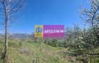 Vila de vanzare in Comarnic - 44