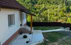 Casă complet renovată, mobilată și utilată, cu teren de 7.400 mp – Ruda-Brad,  - 12