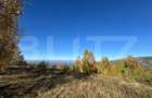 Teren extravilan de  17.183 mp in Târsa - 2