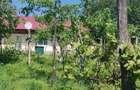 Casă bătrânească în Davideni – curte generoasă de 2.000 mp - 12