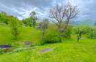 Teren 1500mp, intravilan cu utilitati, in proximitatea complexului Vila Bran - 8