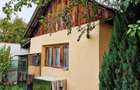 VIND VILA CU SPATIU INDUSTRIAL LOCUIT (pretabil la orice activitate) DASCALU IF - 11