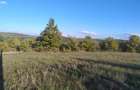 PECO Teren intravilan Saldabagiu De Munte - 4