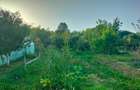 Casă la țară cu livadă, grădină și aer curat - Vulturești, Argeș - 9