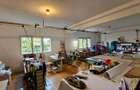 BAICOI - casa P+E, ter-1354mp, pret. loc/activ. comerciale - 149000 euro - 19