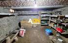 Casa renovata, 2 corpuri de cladire + anexe, 1331 mp teren, Paclisa - 18
