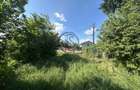 Teren intravilan de vanzare | 11.000 mp | Ghirdoveni | Comision 0% - 4
