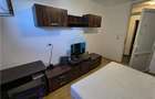 Apartament 2 camere, Andrei Muresanu - 8
