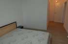 VANZARE 3 CAMERE TITAN - GURA PUTNEI 114 MP - 10