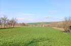 Vanzare teren intravilan parcelabil, in localitatea Rascruci - 6