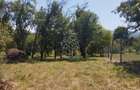 Teren intravilan 2828 mp+autorizatie casa-anexe-livada-Dorolea - 1