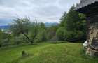 Domeniu Premium 1.7 Ha Intravilan Zărnești | Lizieră Pădure | Ideal Resort - 8