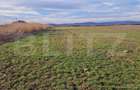 Teren intravilan, 8700mp,Prejmer - 2