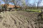 Rachitova, Casa 8 Incaperi, 3800mp Teren, Usor Negociabil - 8