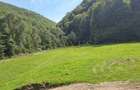 Teren intravilan, cf, zona Valea Ierii - 1