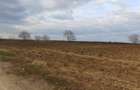 Teren de vânzare | Moara Vlăsiei | Utilități în zonă - 2
