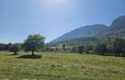 Teren intravilan, 21.000 mp, Zona Intre Barse, spre Plaiul Foii, Zarnesti