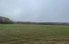 9400 mp | Ideal pentru investitie | Tunari | Deschidere la padure - 6