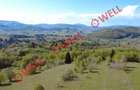 De vânzare 2 terenuri extravilane în localitatea Vama Buzăului!