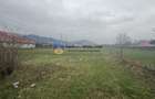 Teren 1200 mp Vadurele ,comuna Alexandru cel Bun , cu utilitati - 5